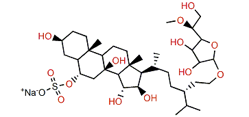 Oreasteroside G